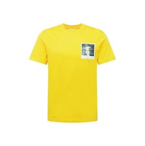 LACOSTE Tričko  žlutá / bílá / šedá
