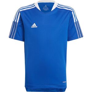 ADIDAS PERFORMANCE Funkční tričko 'Tiro 21' modrá / bílá