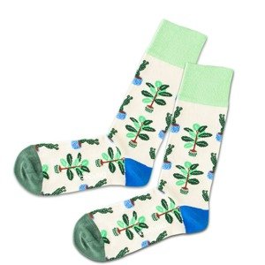 DillySocks Ponožky 'Cream Plants'  krémová / světle zelená / zelená / modrá / hnědá