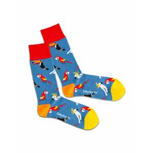 DillySocks Ponožky 'Lake Aviary'  mix barev / kouřově modrá / červená / žlutá / bílá