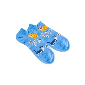 DillySocks Ponožky 'Water Cats'  nebeská modř / bílá / zlatá / námořnická modř / žlutá