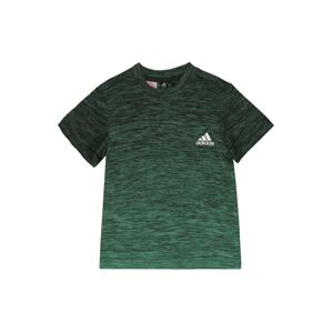 ADIDAS PERFORMANCE Funkční tričko  zelená / šedá / bílá