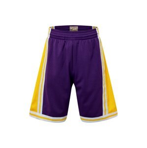Mitchell & Ness Shorts  tmavě fialová / žlutá / bílá