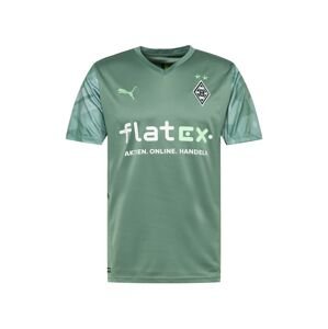 PUMA Trikot 'Borussia Mönchengladbach'  zelená / světle zelená / černá / bílá