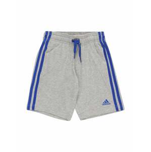 ADIDAS PERFORMANCE Sportovní kalhoty  šedý melír / modrá