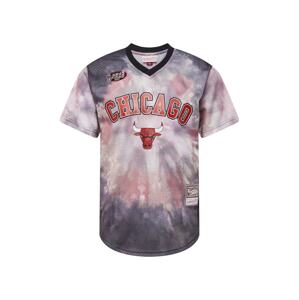 Mitchell & Ness Shirt 'CHICAGO BULLS'  tmavě hnědá / červená / bílá