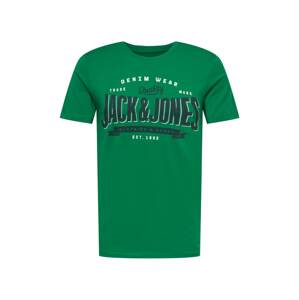 JACK & JONES Tričko  trávově zelená / noční modrá / bílá