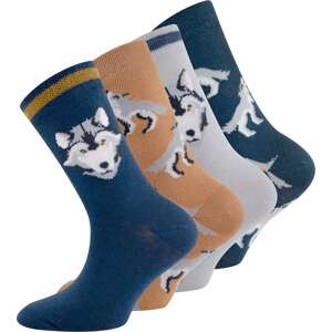EWERS Ponožky  béžová / tmavě modrá / světle šedá