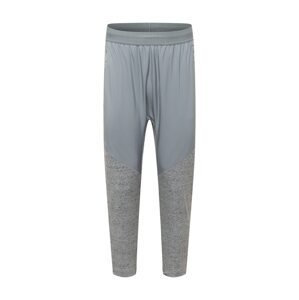 NIKE Sportovní kalhoty  šedá / šedý melír
