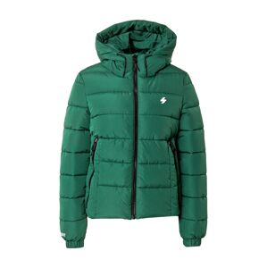 Superdry Zimní bunda  tmavě zelená / bílá