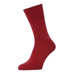 FALKE Ponožky 'Airport'  karmínově červené