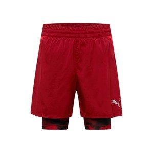 PUMA Sportovní kalhoty  tmavě červená / černá / burgundská červeň / světle červená