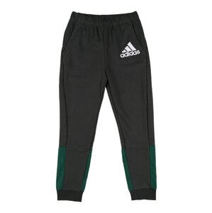 ADIDAS PERFORMANCE Sportovní kalhoty  bílá / tmavě zelená / antracitová