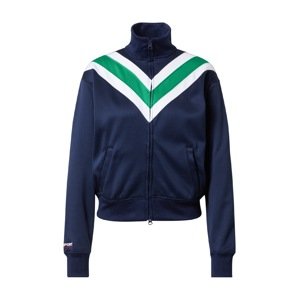 Polo Ralph Lauren Mikina s kapucí  námořnická modř / zelená / bílá