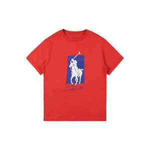 Polo Ralph Lauren Tričko  červená / královská modrá / bílá