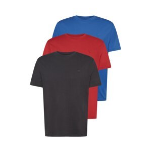 American Eagle Tričko  modrá / červená / černá