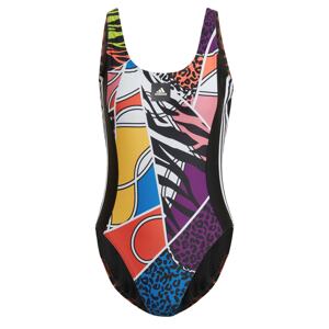 ADIDAS PERFORMANCE Sportovní plavky 'RICHI'  černá / mix barev