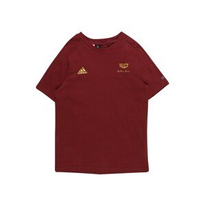 ADIDAS PERFORMANCE Funkční tričko  tmavě červená / zlatá