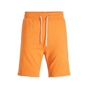 JACK & JONES Kalhoty  oranžová / černá