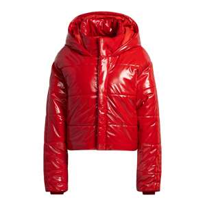 ADIDAS ORIGINALS Zimní bunda 'IVP'  červená