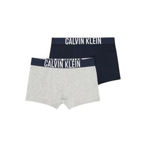 Calvin Klein Underwear Spodní prádlo 'Intense Power'  námořnická modř / šedý melír / bílá