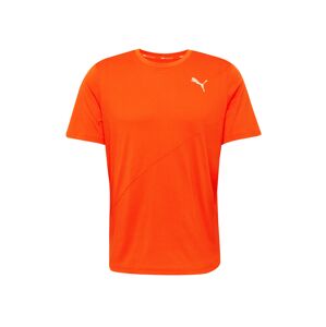PUMA Funkční tričko  oranžová / šedá