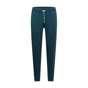 UNDER ARMOUR Sportovní kalhoty  smaragdová / mátová