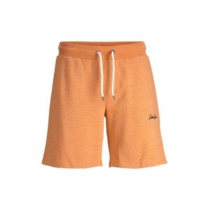 JACK & JONES Kalhoty 'TONS'  oranžová / bílá