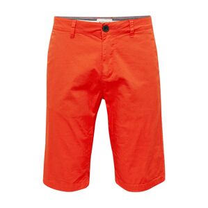 TOM TAILOR Chino kalhoty  oranžově červená