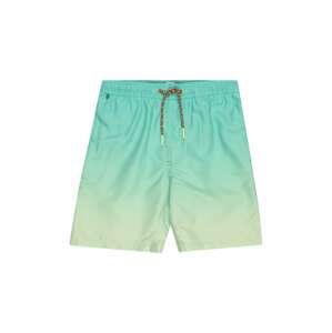 SCOTCH & SODA Plavecké šortky  světle zelená / nefritová