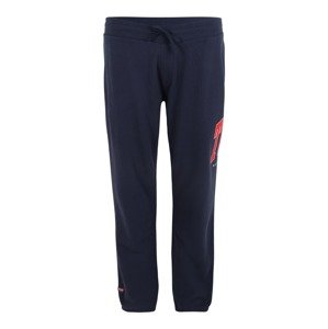 Tommy Jeans Plus Kalhoty  tmavě modrá / bílá / červená