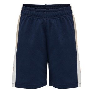 Hummel Sportovní kalhoty 'Rane'  béžová / námořnická modř / bílá