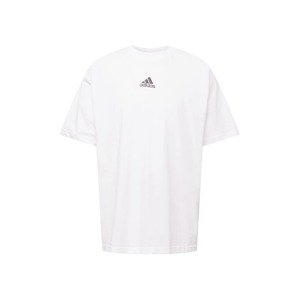 ADIDAS SPORTSWEAR Funkční tričko  šedá / světle šedá / černá / bílá