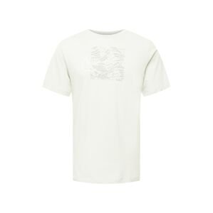 NIKE Funkční tričko 'RUN DIVISION' šedá / bílá / přírodní bílá