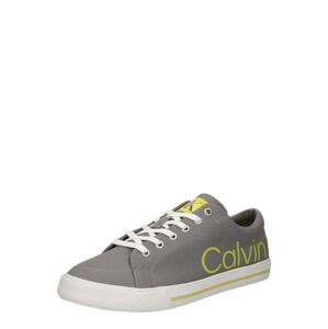 Calvin Klein Jeans Tenisky  šedá / světle zelená