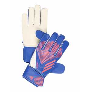 ADIDAS PERFORMANCE Sportovní rukavice 'PRED'  bílá / modrá / růžová