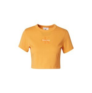 Calvin Klein Jeans Tričko 'PRIDE'  oranžová / jasně oranžová / bílá