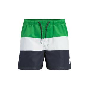 JACK & JONES Plavecké šortky 'CRETE'  modrá / zelená / bílá