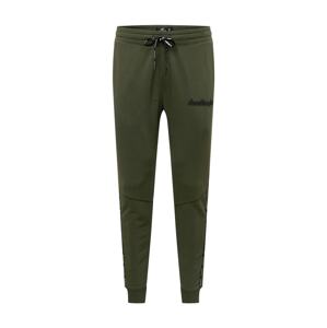 HOLLISTER Kalhoty  tmavě zelená / černá