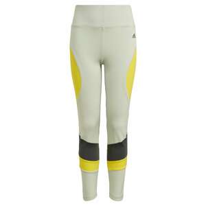 ADIDAS PERFORMANCE Sportovní kalhoty  žlutá / světle zelená / černá