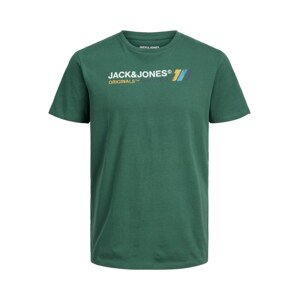 Jack & Jones Plus Tričko 'Nate'  zelená / mix barev