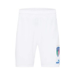PUMA Sportovní kalhoty  modrá / zelená / červená / bílá