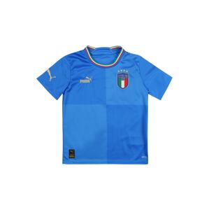 PUMA Funkční tričko 'Italien 2022'  modrá / azurová / mix barev