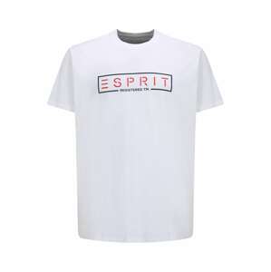 Esprit Big Size Tričko  červená / černá / bílá