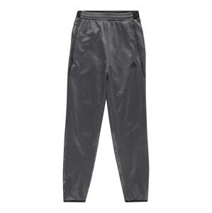 ADIDAS SPORTSWEAR Sportovní kalhoty tmavě šedá